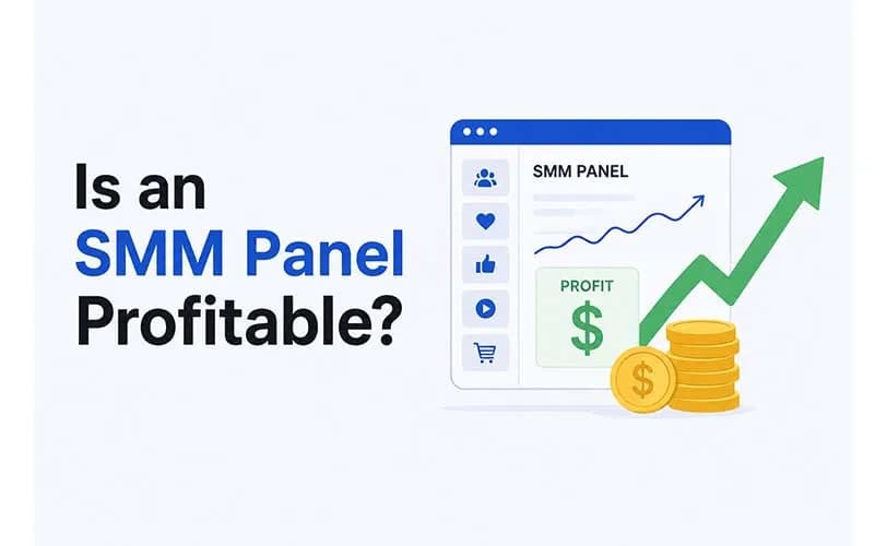 Is an SMM Panel Profitable? Costs, Margins & Growth